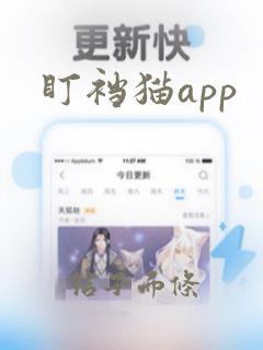 盯裆猫app