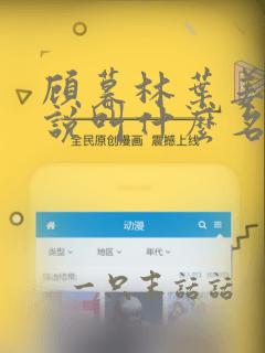 顾暮林叶姜芷小说叫什么名字