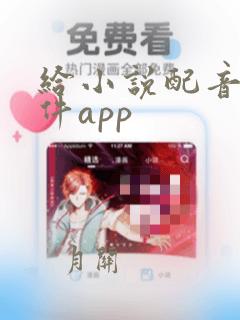 给小说配音的软件app