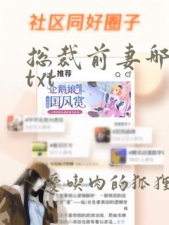 总裁前妻哪里逃txt