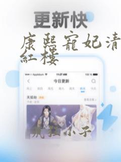 康熙宠妃清穿 红楼