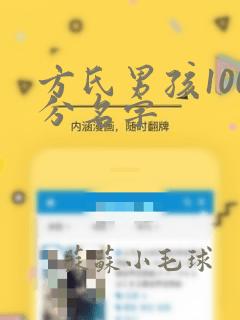 方氏男孩100分名字