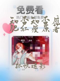 知否知否应是绿肥红瘦原著小说epub