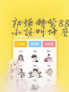 郭烨赵莺88的小说叫什么名字