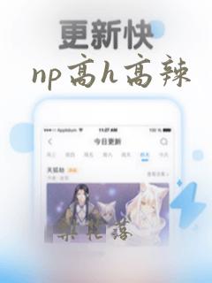 np高h高辣