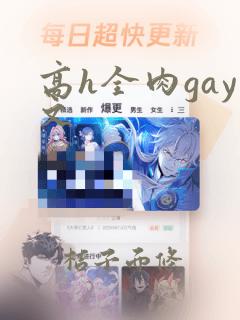 高h全肉gay文