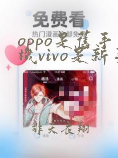 oppo是旧手机vivo是新手机