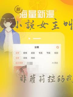 小说女主叫安锦