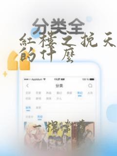 红楼之挽天倾说的什么