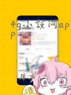 4g小说网app