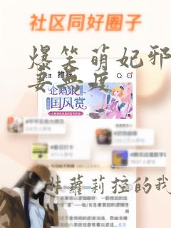 爆笑萌妃邪王宠妻无度