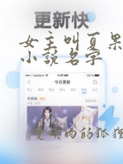 女主叫夏果果的小说名字