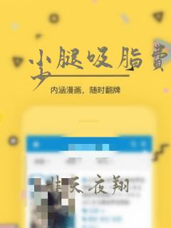 小腿吸脂费用多少