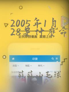 2005年1月28是什么命