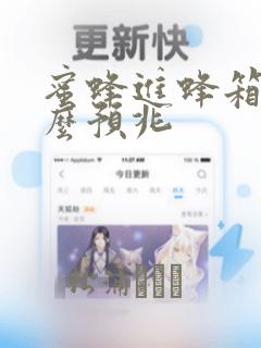 蜜蜂进蜂箱有什么预兆