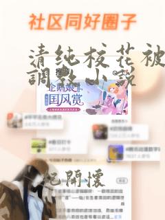 清纯校花被轮番调教小说