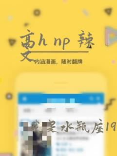 高h np 辣文