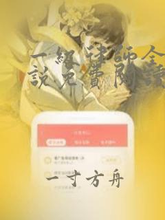 一级律师全本小说免费阅读