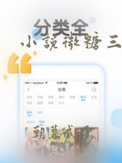 小说微糖三分甜