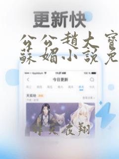 公公赵大宝儿媳苏媚小说免费阅读