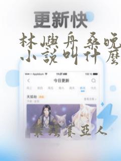 林屿舟桑晚温言小说叫什么名字