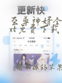 至尊神婿全本txt免费下载