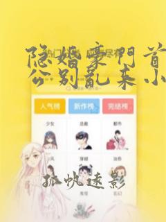 隐婚豪门首席老公别乱来小说