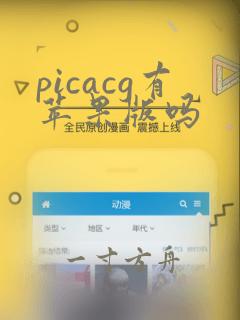 picacg有苹果版吗