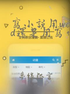 写小说用word还是用写作软件好