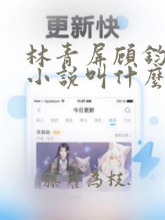 林青屏顾钧成的小说叫什么名字