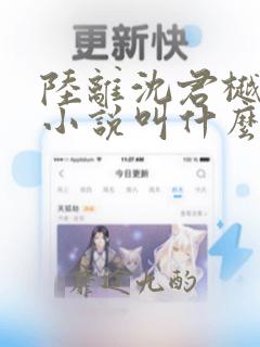 陆离沈君樾原著小说叫什么