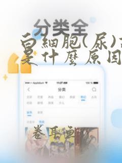 白细胞(尿)高是什么原因