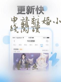 申请离婚小说在线阅读