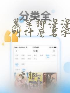 慕宁柳漫漫小说叫什么名字