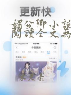 媚公卿小说免费阅读全文无弹窗