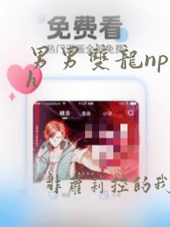 男男双龙np高h