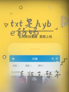 txt是hybe的吗