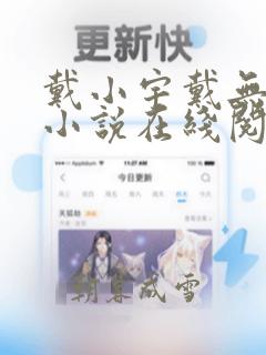 戴小宇戴无双的小说在线阅读