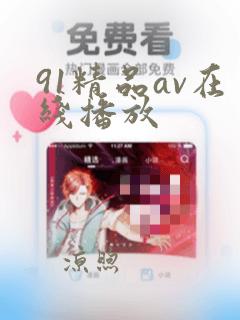 91精品av在线播放