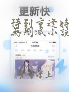 待到重逢时泰剧无删减小说