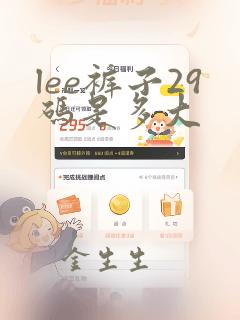 lee裤子29码是多大