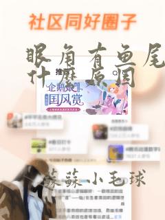 眼角有鱼尾纹是什么原因