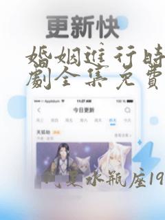 婚姻进行时电视剧全集免费观看