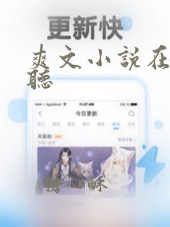 爽文小说在线收听