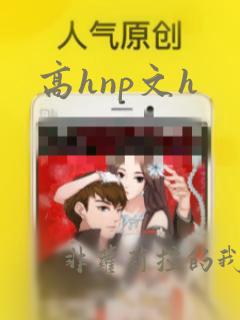 高hnp文h