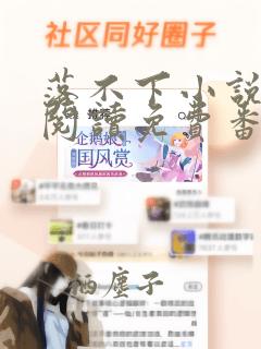 落不下小说全文阅读免费番外