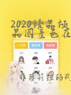 2020精品极品国产色在线