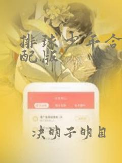 排球少年合集中配版