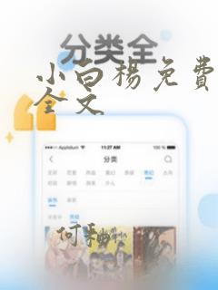 小白杨免费阅读全文