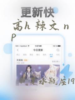 高h 辣文 np